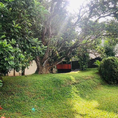 47 Alfred House - Free Pickup From Kandy City Exterior foto